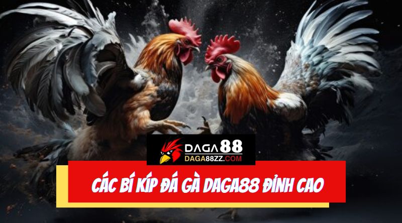 Bí kíp đá gà Daga88