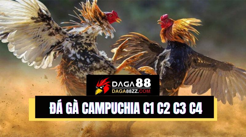 Chơi đá gà Campuchia