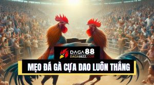 Đá gà cựa dao là gì