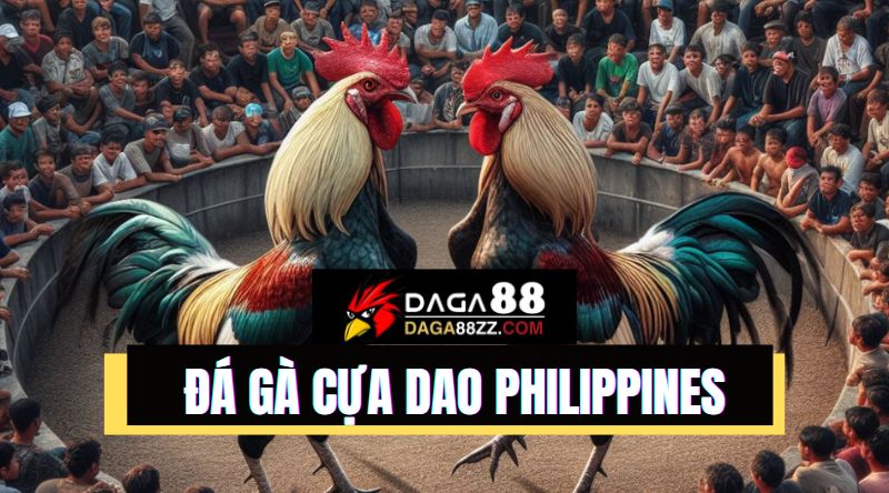 Tất tần tật về đá gà cựa dao Philippines - hướng dẫn từ A-Z cho tân thủ