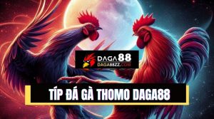 Cách đặt cược đá gà Thomo và tips sống sót tại đấu trường gà chiến huyền thoại