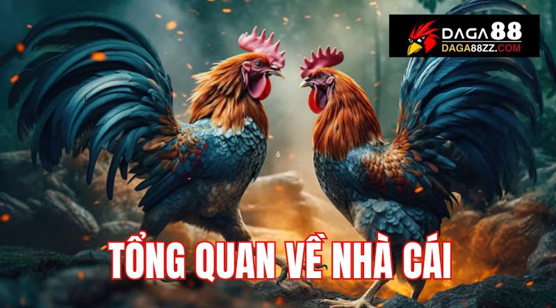 Tổng quan về nhà cái uy tín Daga88