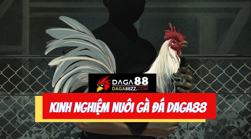 Vì sao cần kinh nghiệm nuôi gà đá 88?